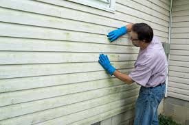 Best Custom Trim and Detailing for Siding  in Tishomingo, OK